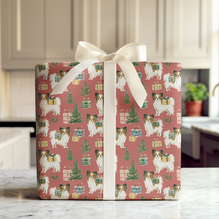 Papillon Special Delivery