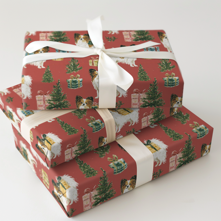 Papillon Special Delivery