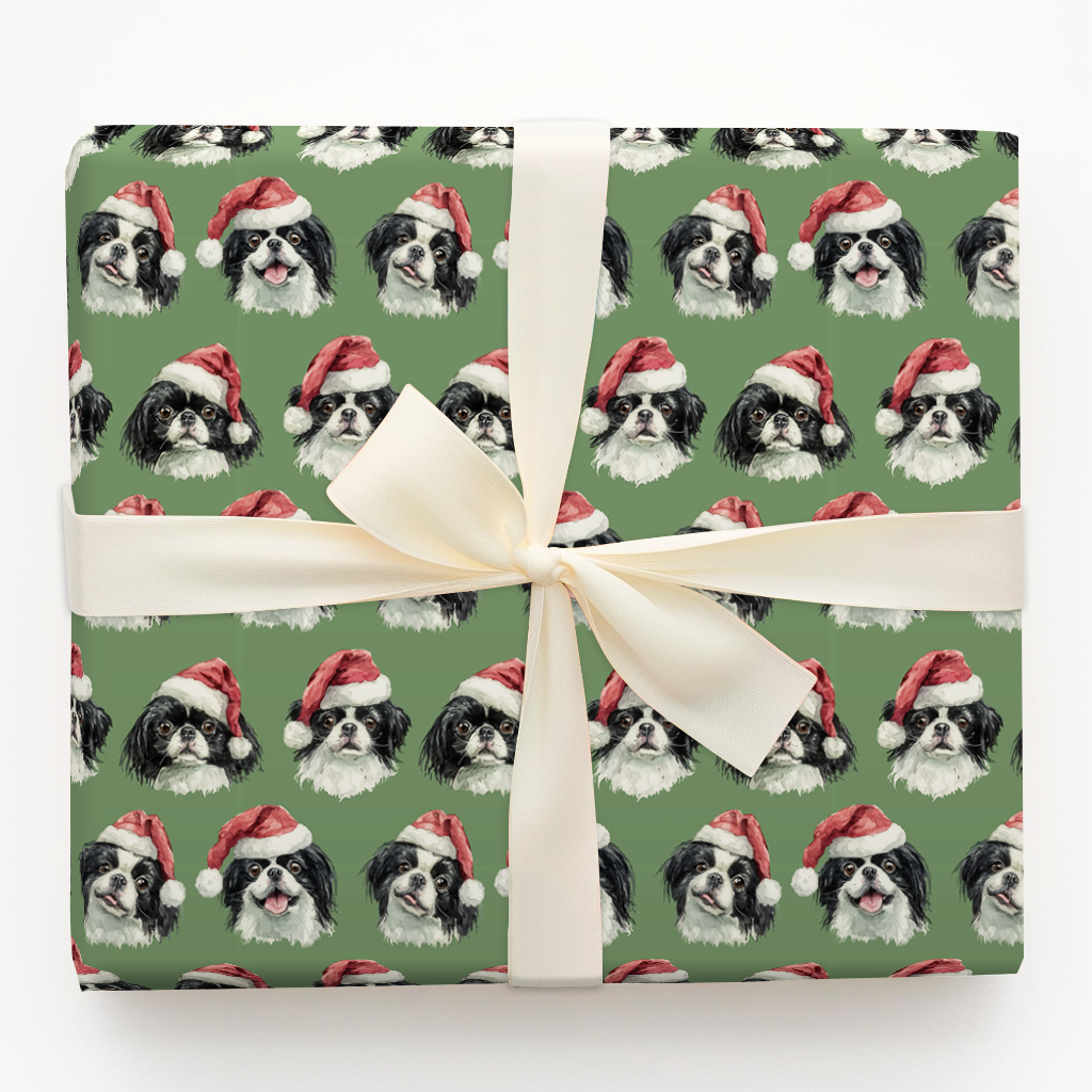 Santa Chins
