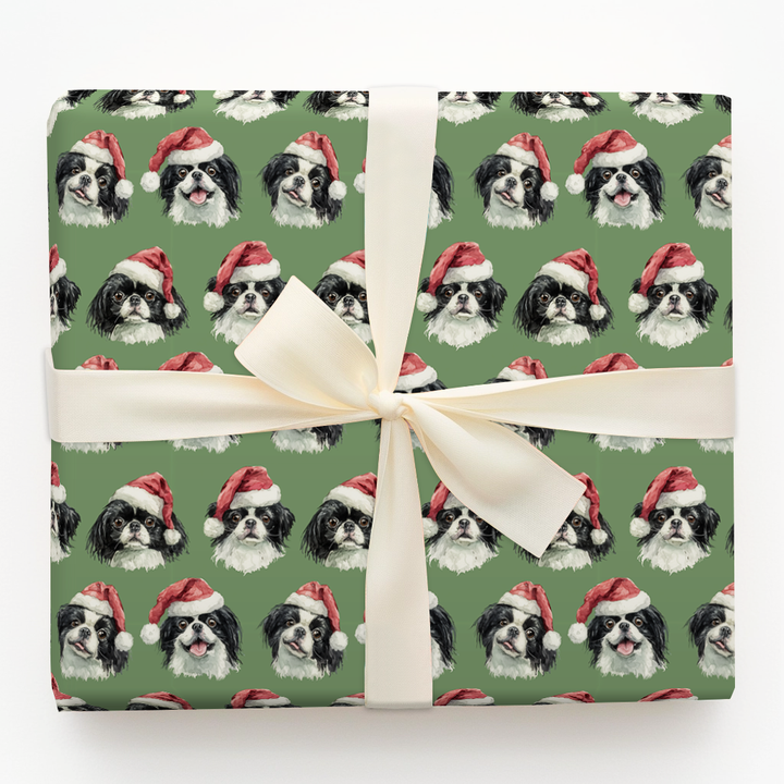 Santa Chins