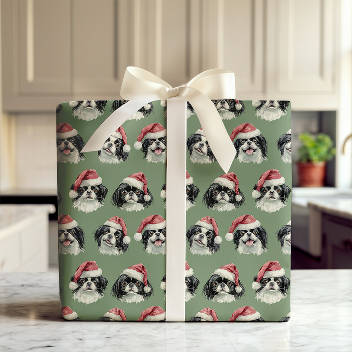 Santa Chins