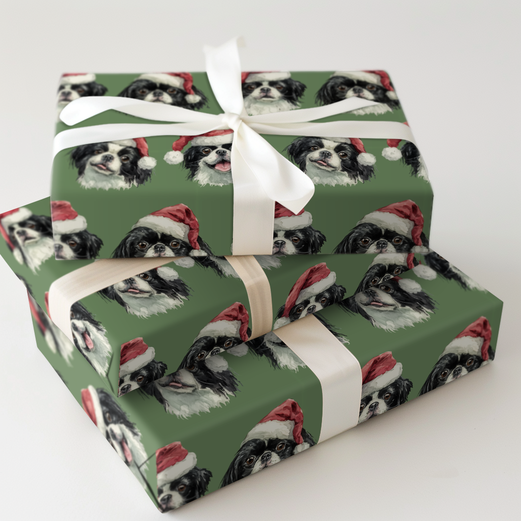 Santa Chins