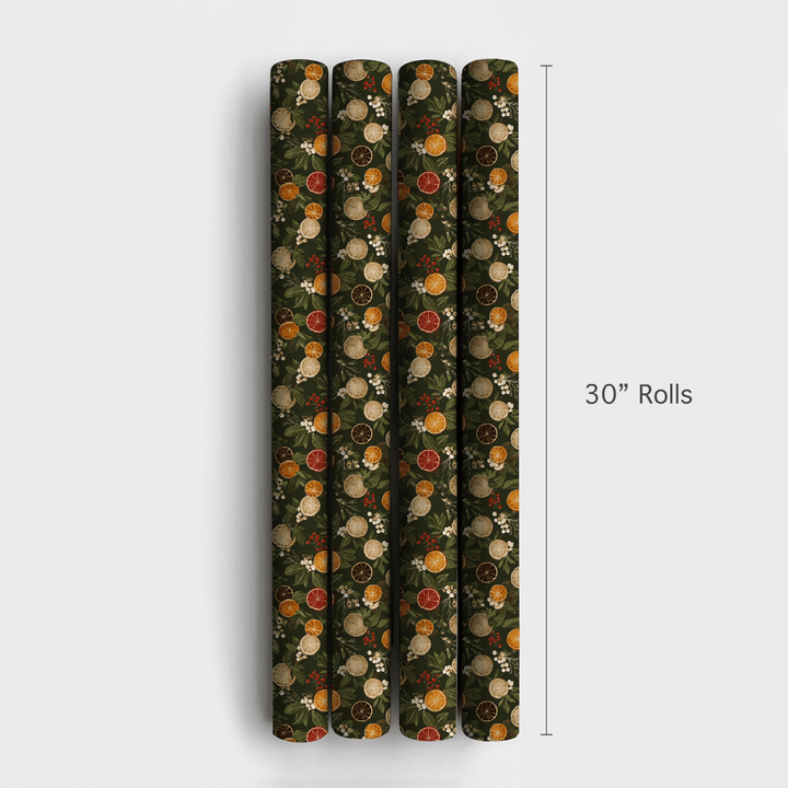 Dried Citrus - Wrapping Paper - Aspen & Arlo