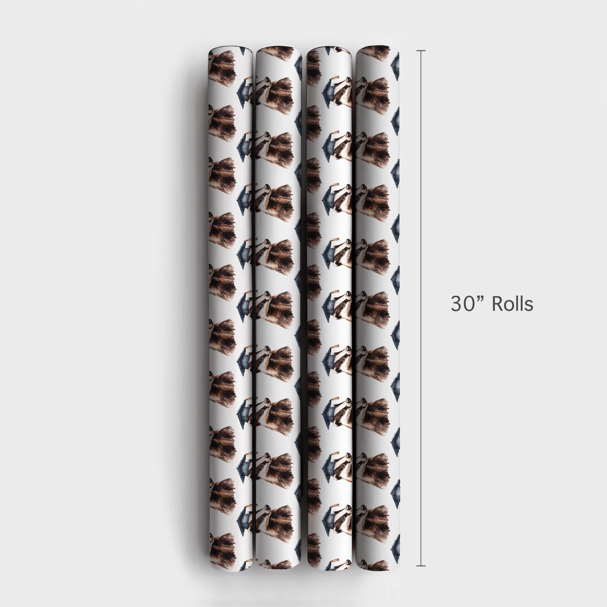 Class Claws - Wrapping Paper - Aspen & Arlo