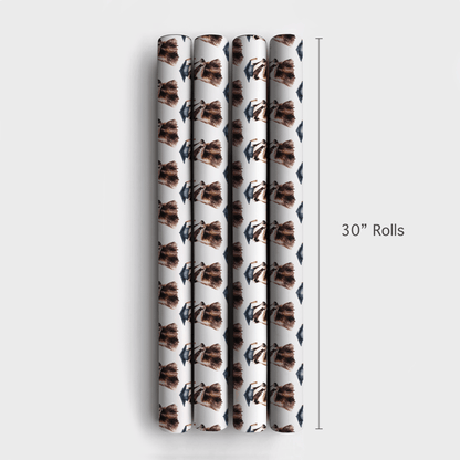 Class Claws - Wrapping Paper - Aspen & Arlo