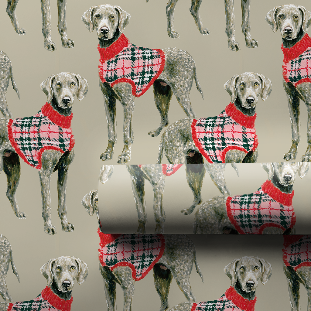 Weimaraner Sweater Weather