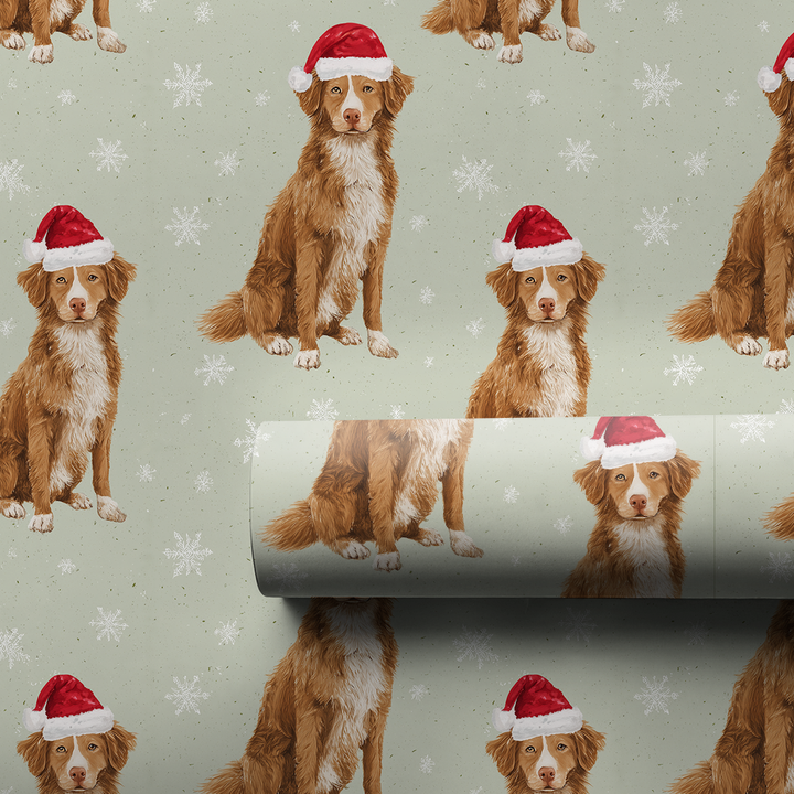 Tollers & Snowflakes