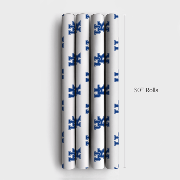 Big Blue Bold - Wrapping Paper - Aspen & Arlo