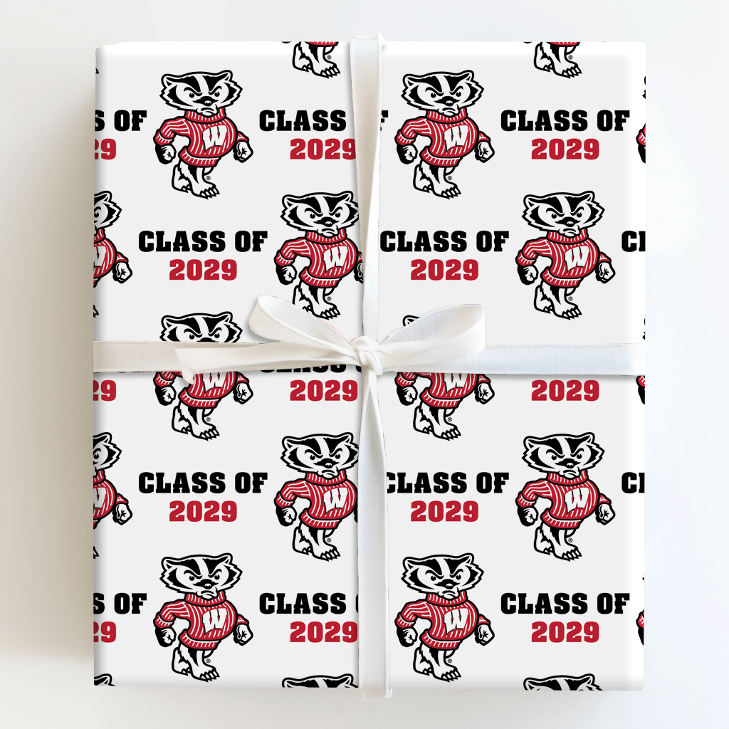 Class of 2029 Wisconsin - Wrapping Paper - Aspen & Arlo