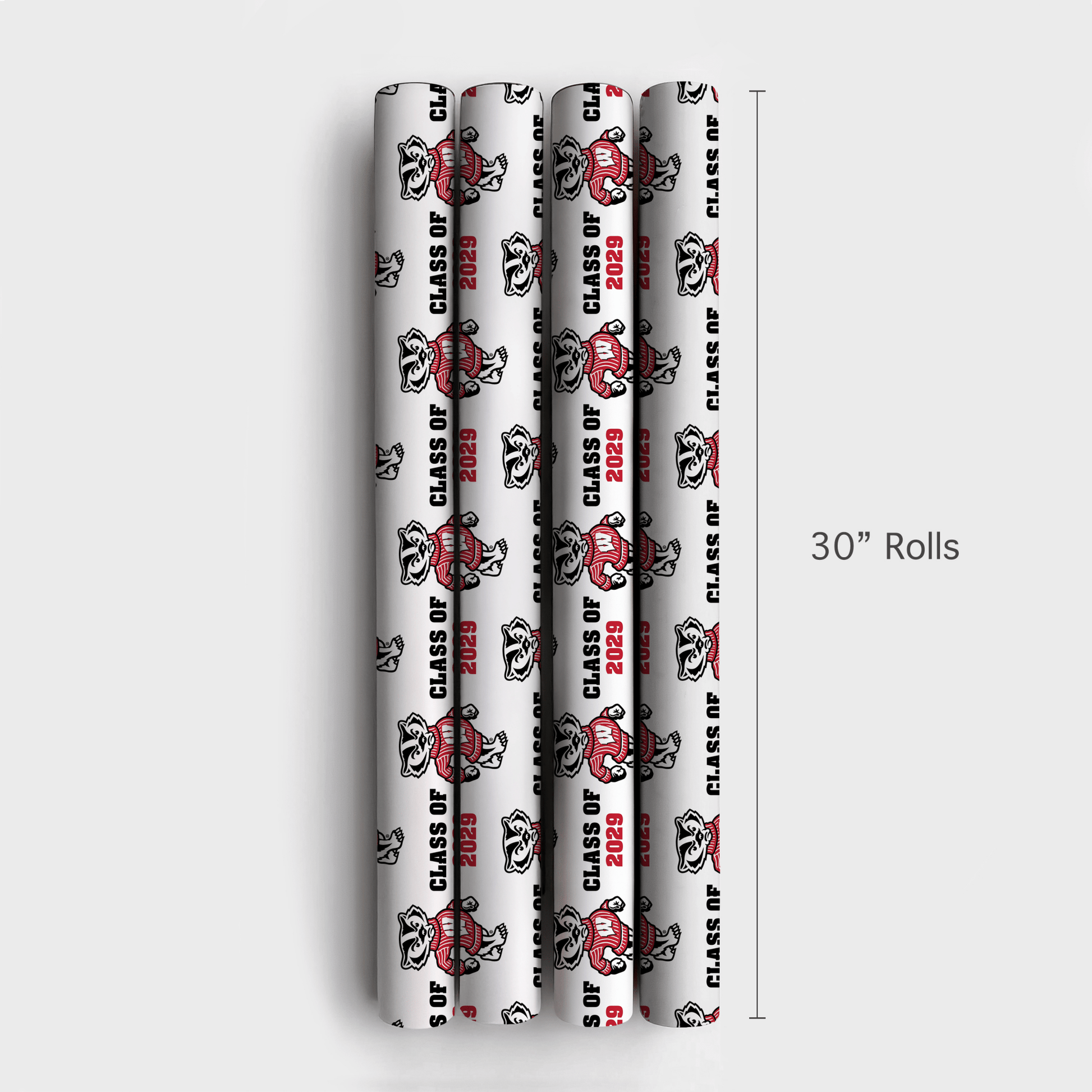 Class of 2029 Wisconsin - Wrapping Paper - Aspen & Arlo