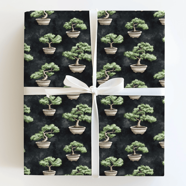 Balance Bonus - Wrapping Paper - Aspen & Arlo