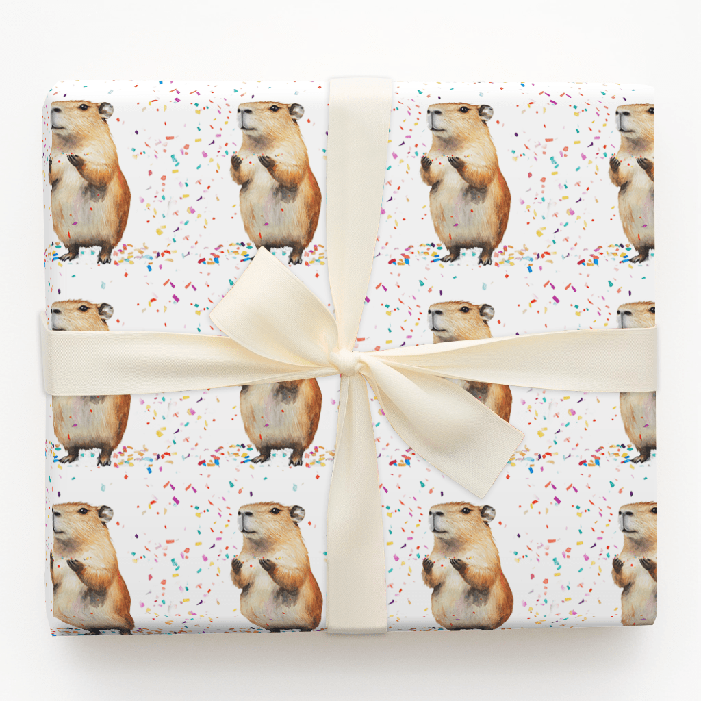 Confetti Cappy - Wrapping Paper - Aspen & Arlo
