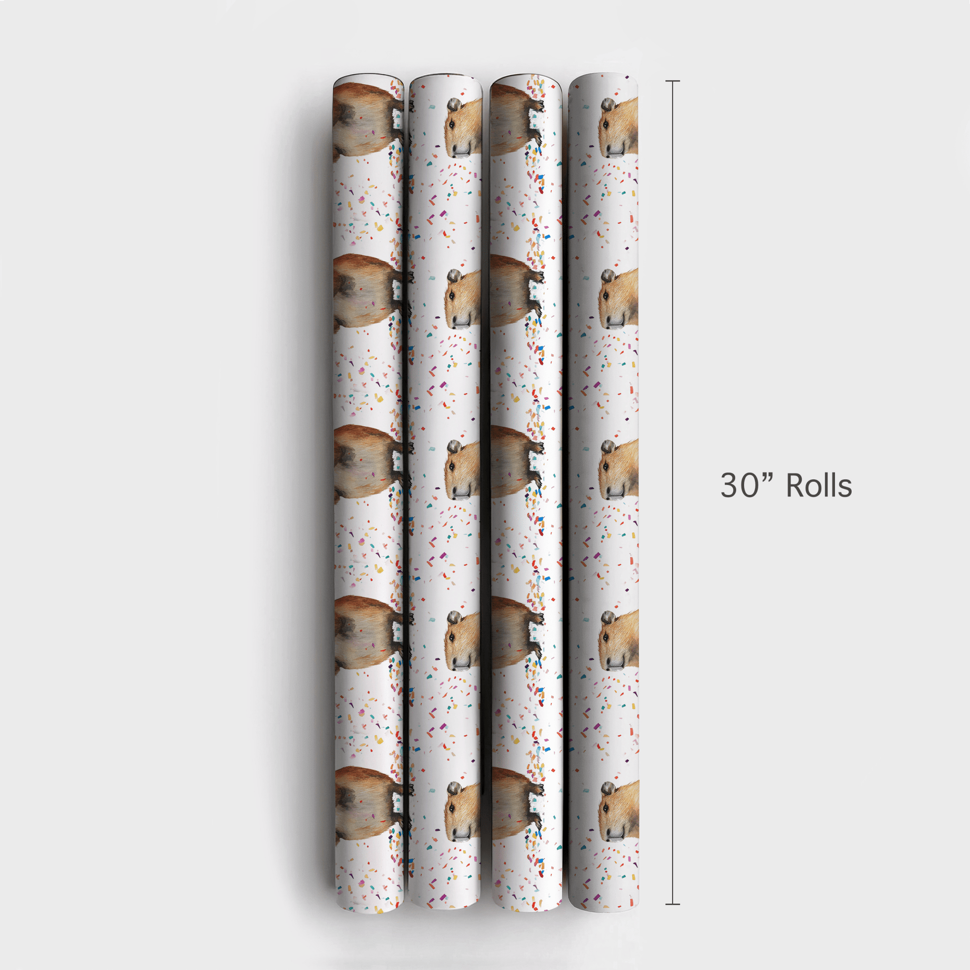 Confetti Cappy - Wrapping Paper - Aspen & Arlo