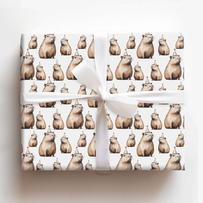 Party Cap - Wrapping Paper - Aspen & Arlo