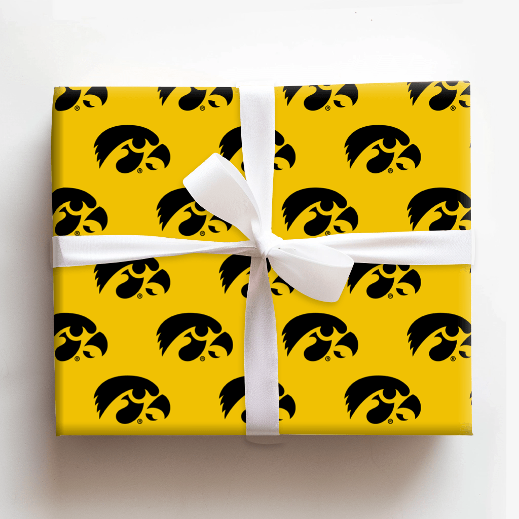 Eagle Eyes - Wrapping Paper - Aspen & Arlo
