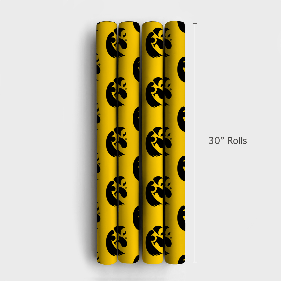 Eagle Eyes - Wrapping Paper - Aspen & Arlo