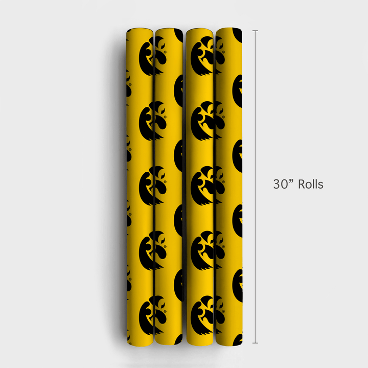 Eagle Eyes - Wrapping Paper - Aspen & Arlo