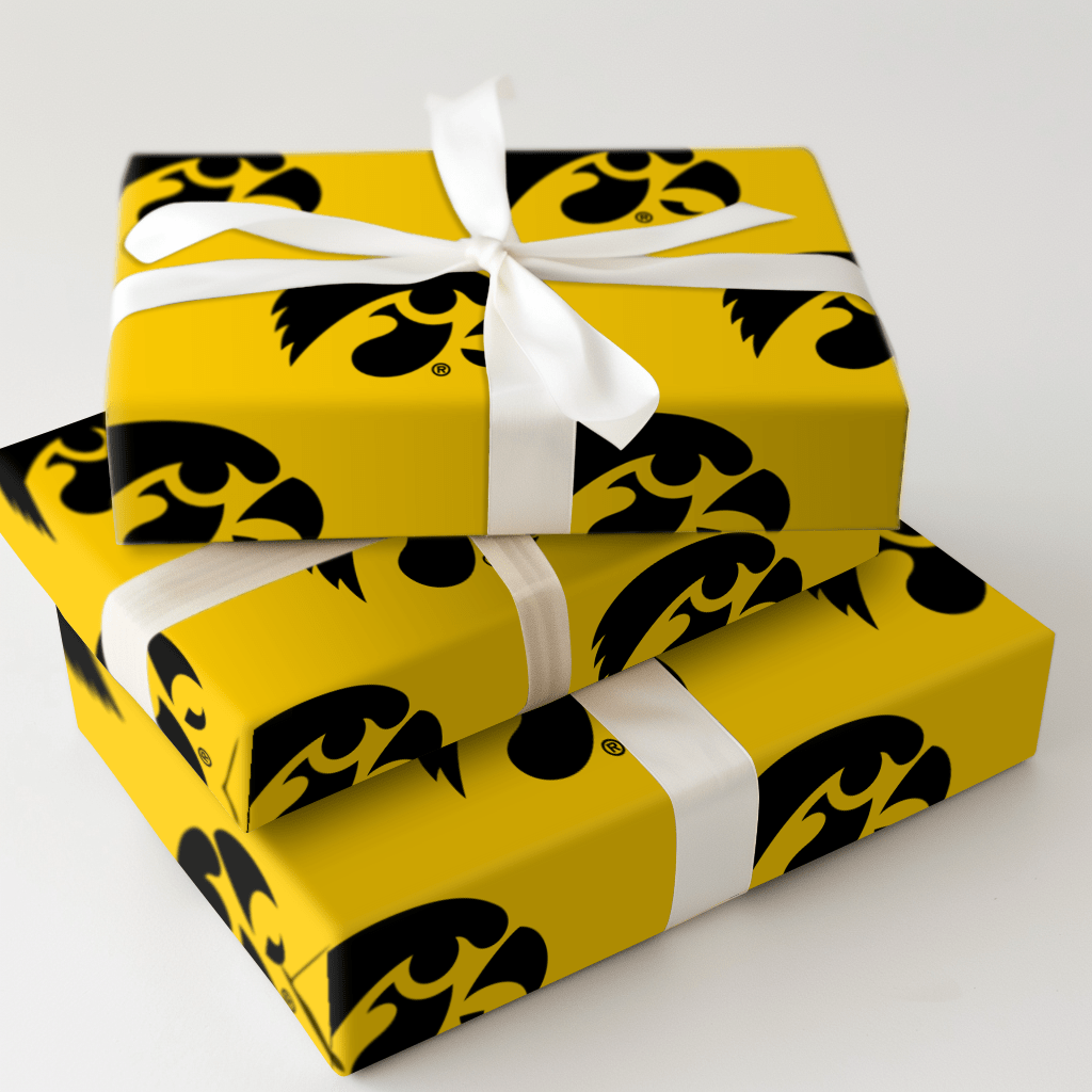 Eagle Eyes - Wrapping Paper - Aspen & Arlo