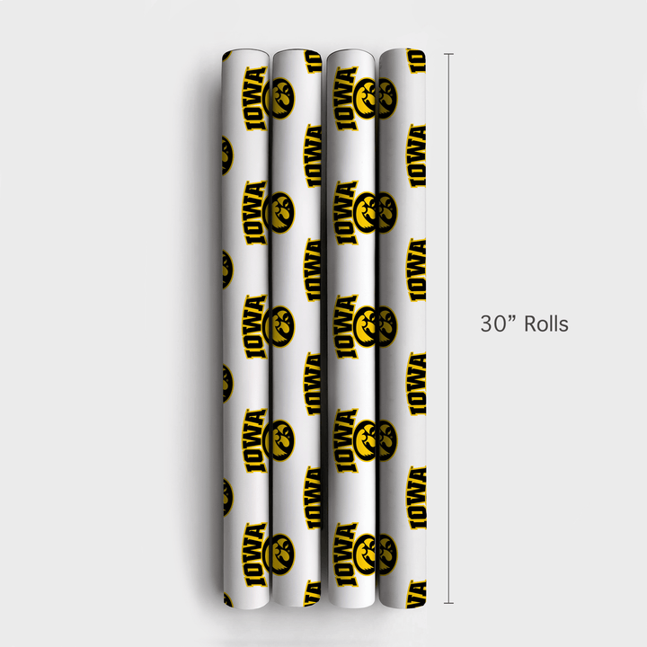 Gold Glare - Wrapping Paper - Aspen & Arlo