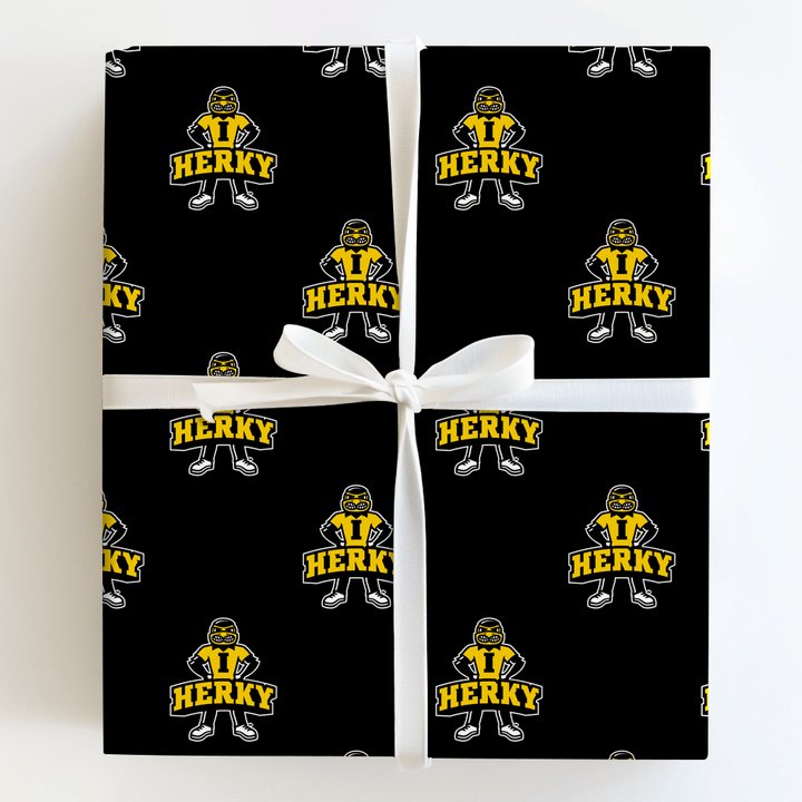 Lets go Herky - Wrapping Paper - Aspen & Arlo