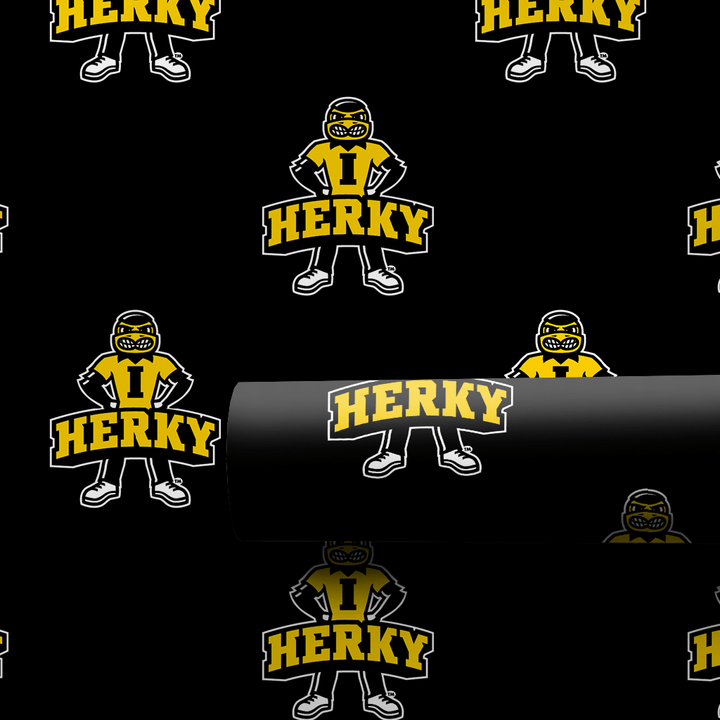 Lets go Herky - Wrapping Paper - Aspen & Arlo