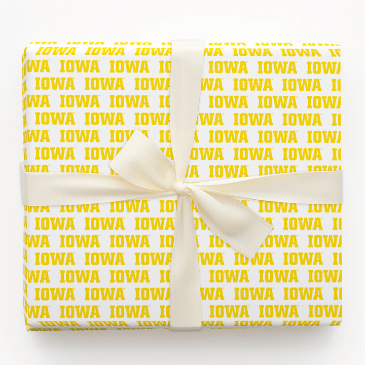 Hawk Talk - Wrapping Paper - Aspen & Arlo
