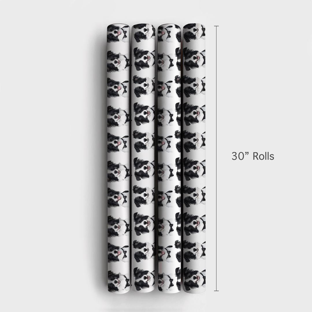 Black Tie with the Border Collies - Wrapping Paper - Aspen & Arlo