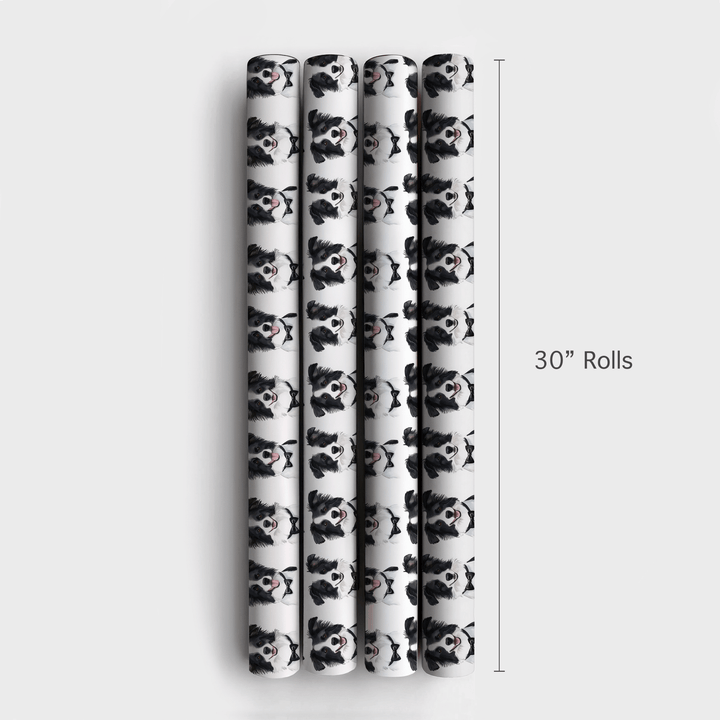 Black Tie with the Border Collies - Wrapping Paper - Aspen & Arlo