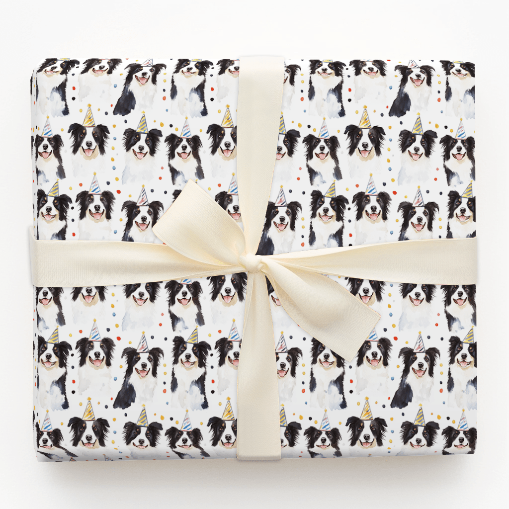 Border Collie Birthday - Wrapping Paper - Aspen & Arlo