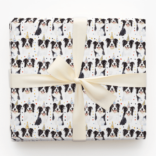 Border Collie Birthday - Wrapping Paper - Aspen & Arlo
