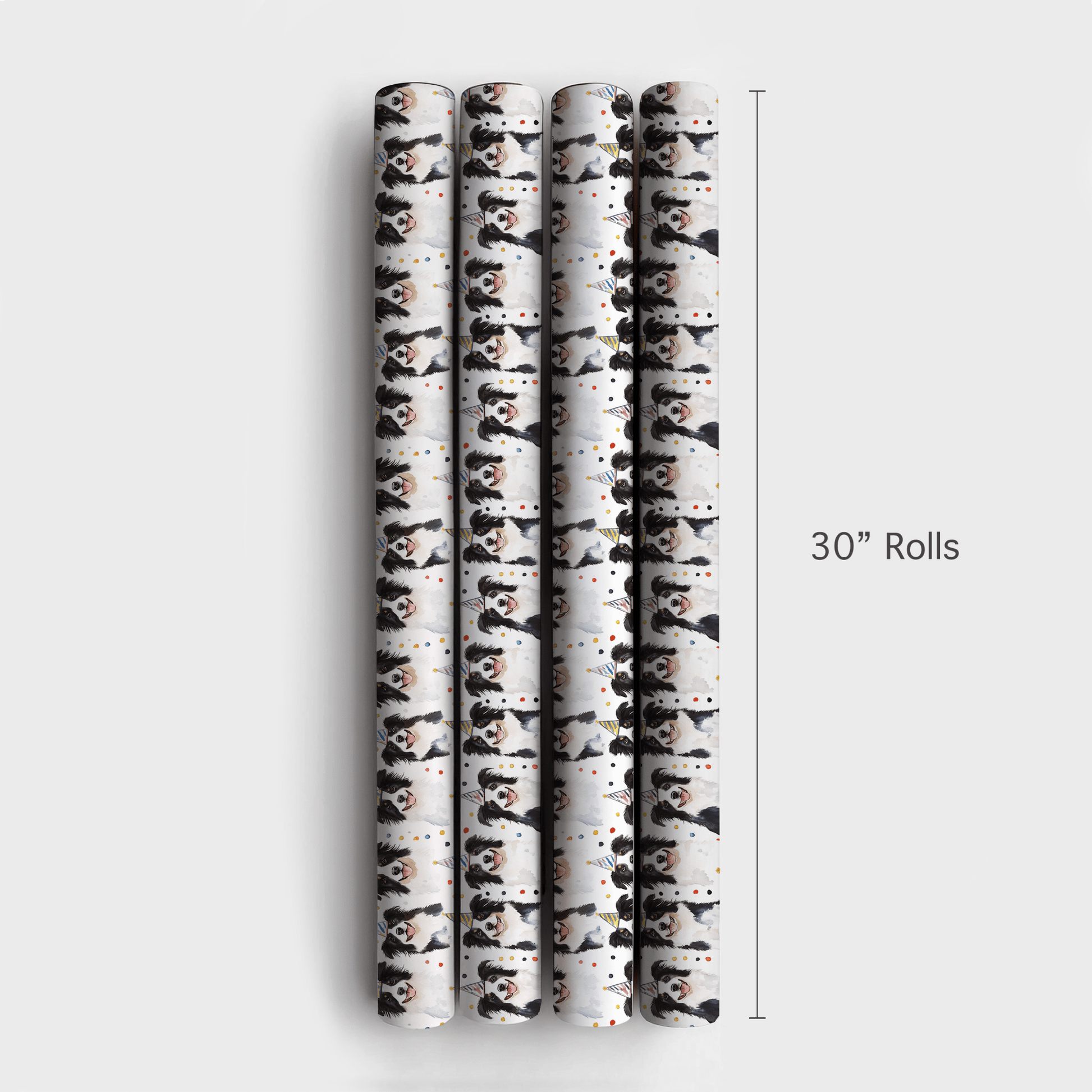 Border Collie Birthday - Wrapping Paper - Aspen & Arlo