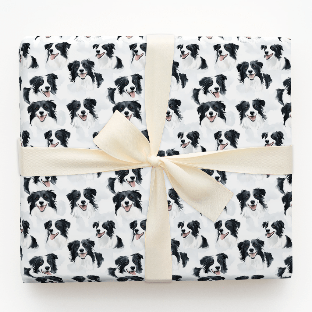 Border Collie Bliss - Wrapping Paper - Aspen & Arlo
