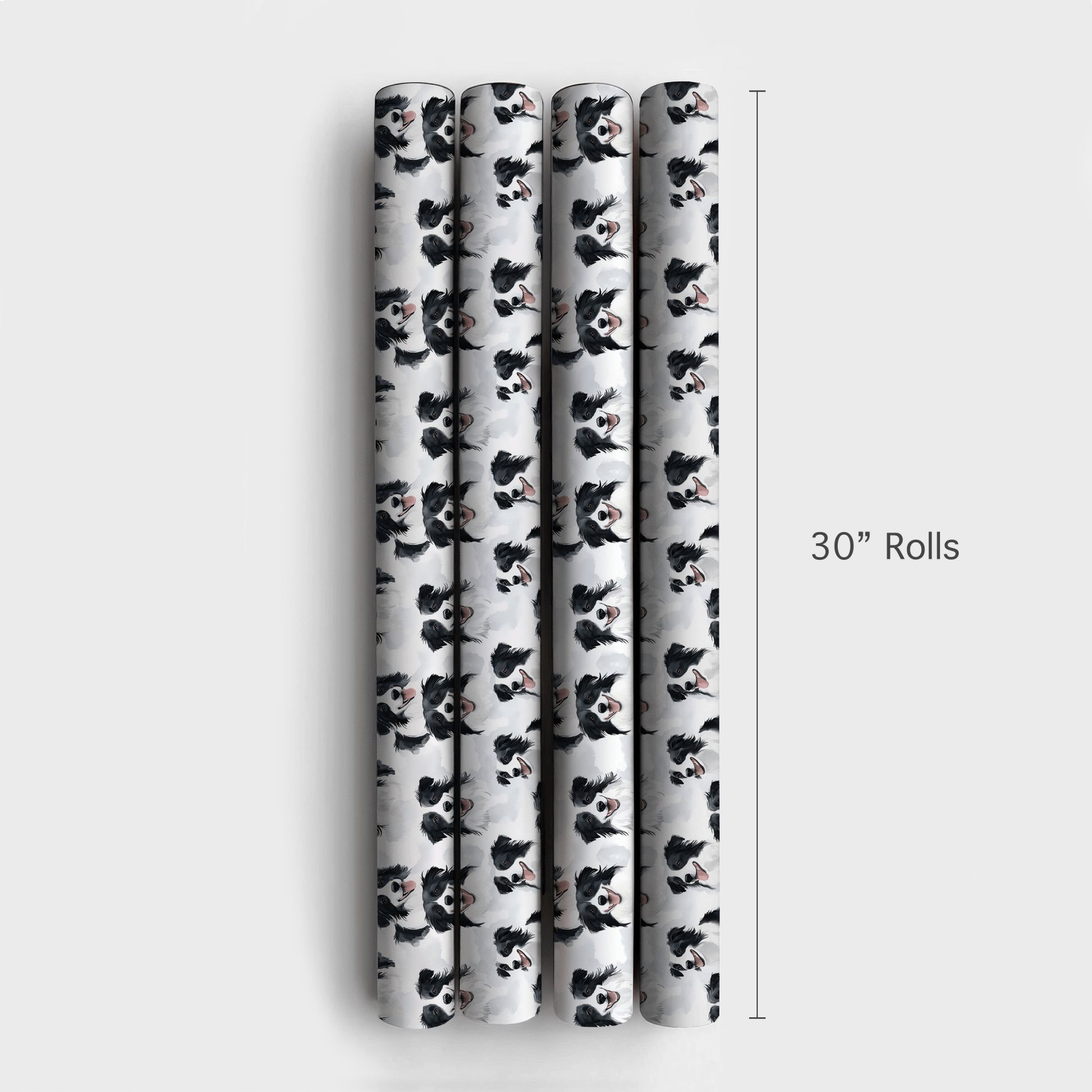 Border Collie Bliss - Wrapping Paper - Aspen & Arlo