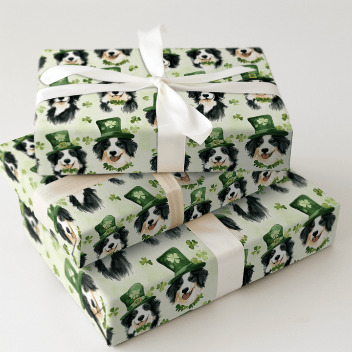 Border Collie Leprechaun - Wrapping Paper - Aspen & Arlo