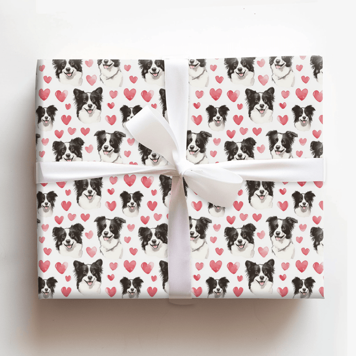 Bordie Collie Valentine - Wrapping Paper - Aspen & Arlo