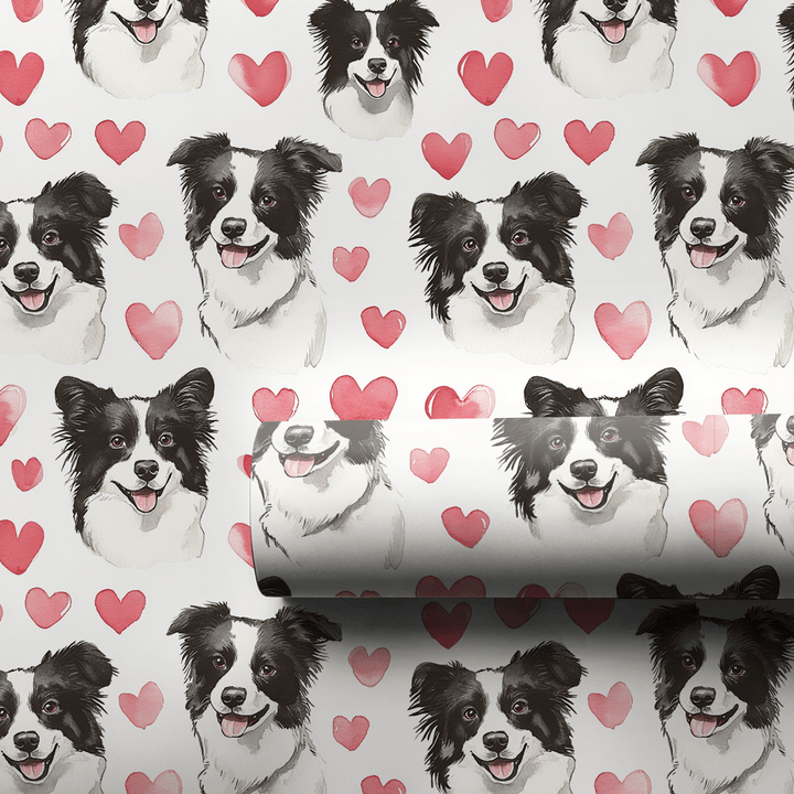 Bordie Collie Valentine - Wrapping Paper - Aspen & Arlo