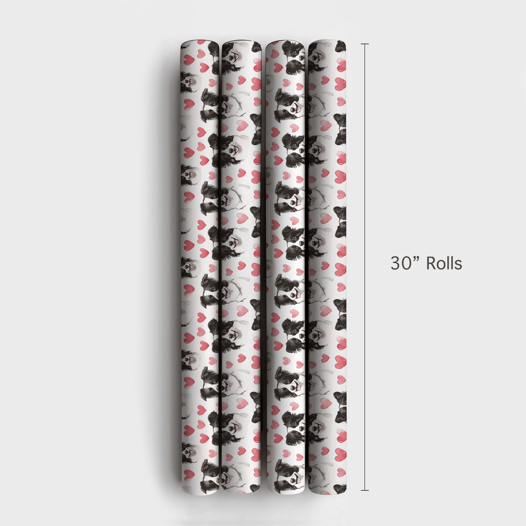 Bordie Collie Valentine - Wrapping Paper - Aspen & Arlo
