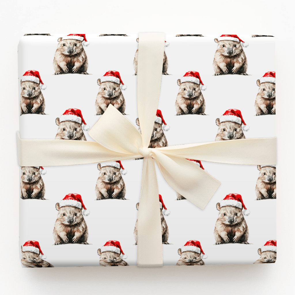 Wombat Wish - Wrapping Paper - Aspen & Arlo