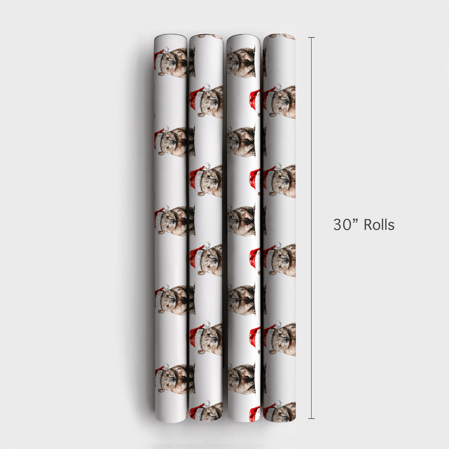 Wombat Wish - Wrapping Paper - Aspen & Arlo