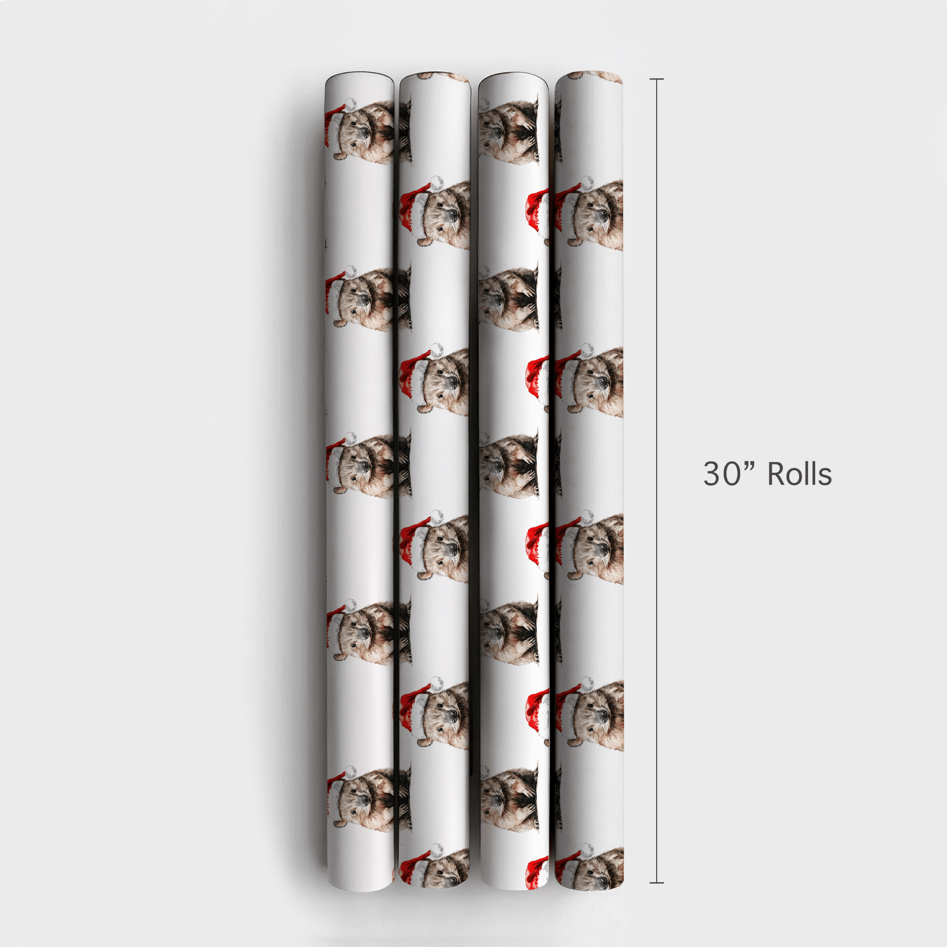 Wombat Wish - Wrapping Paper - Aspen & Arlo