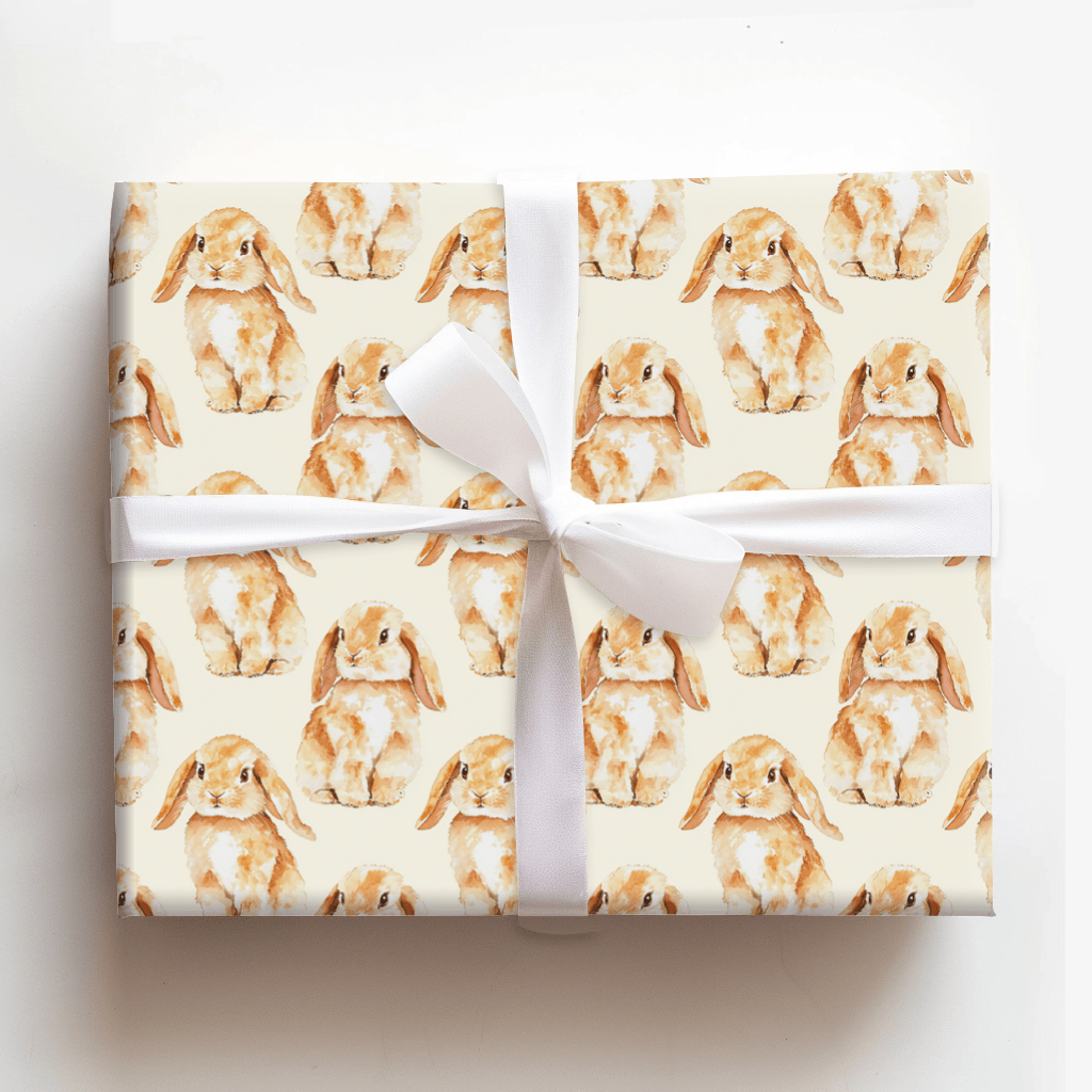 Brownie Flops - Wrapping Paper - Aspen & Arlo