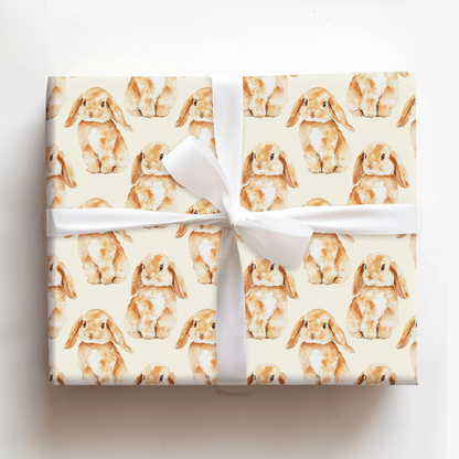 Brownie Flops - Wrapping Paper - Aspen & Arlo