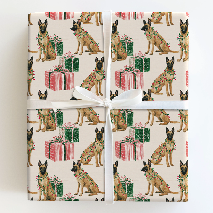 Malinois Merry & Bright