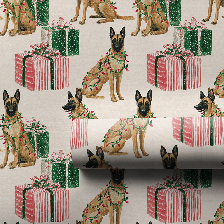 Malinois Merry & Bright