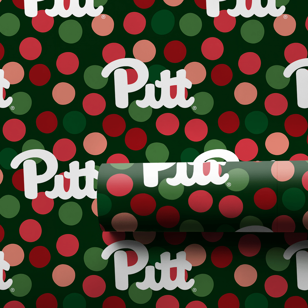 Pitt Winter Dot - Wrapping Paper - Aspen & Arlo