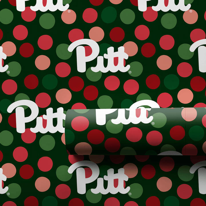 Pitt Winter Dot - Wrapping Paper - Aspen & Arlo