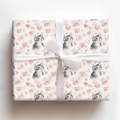 Domestic Shorthair Valentine - Wrapping Paper - Aspen & Arlo