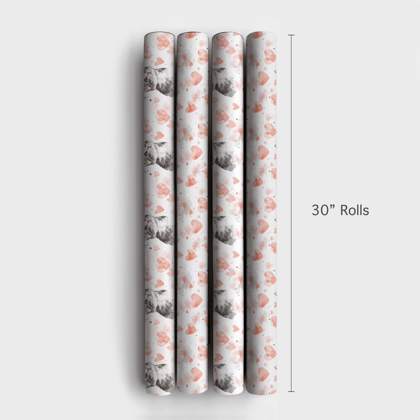 Domestic Shorthair Valentine - Wrapping Paper - Aspen & Arlo