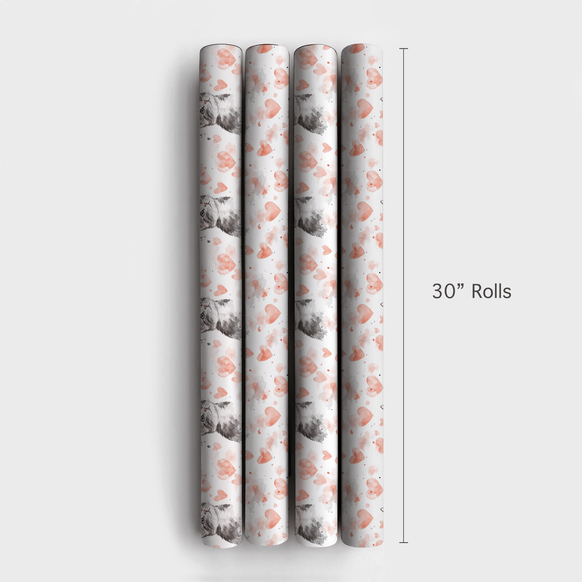 Domestic Shorthair Valentine - Wrapping Paper - Aspen & Arlo