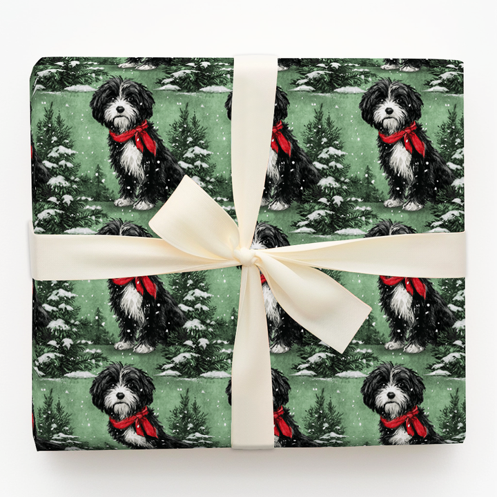 Havanese in Green